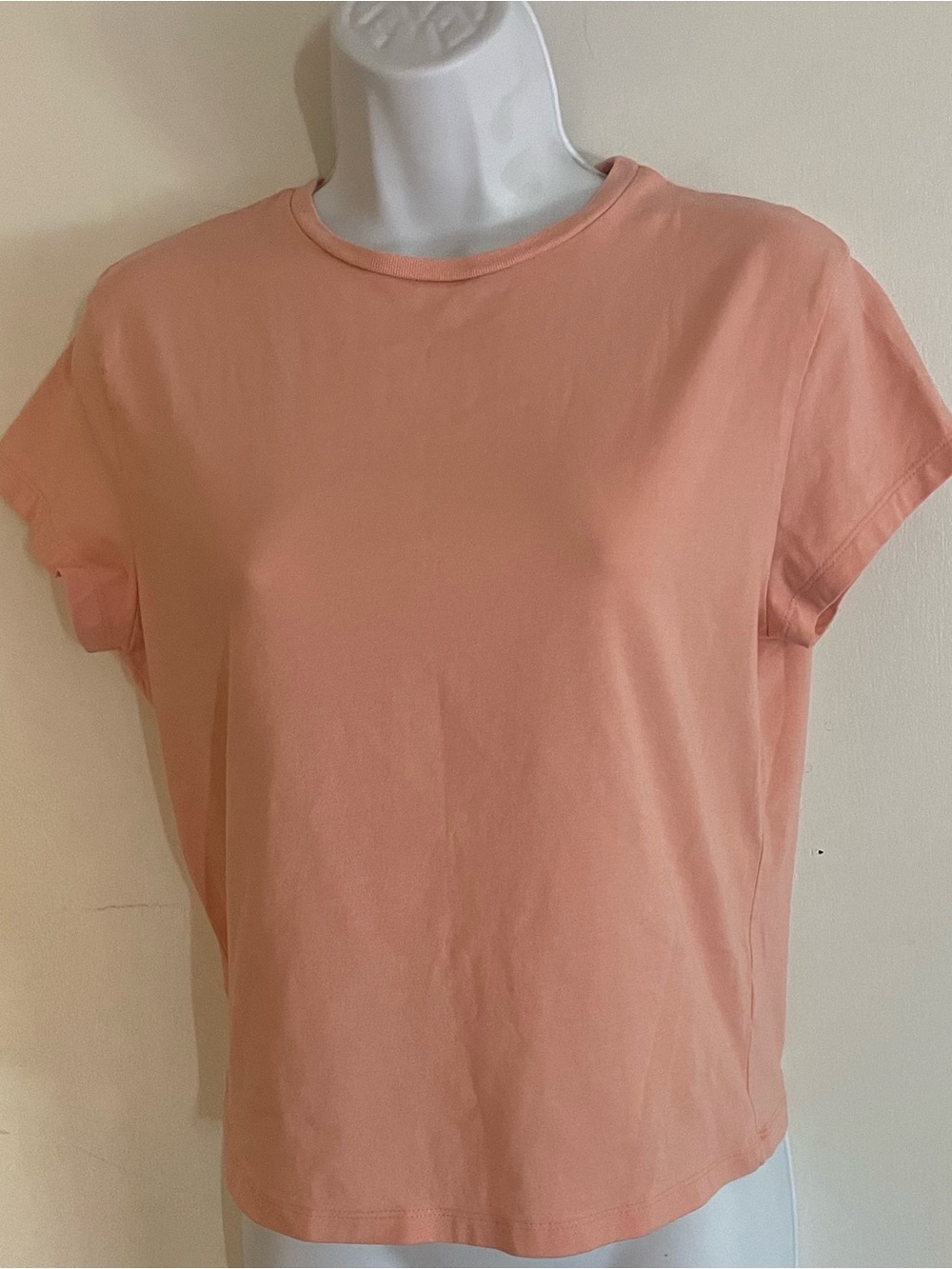 wild fable Peachy Pink Crewneck Crop Tee